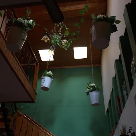 Casa Alis 度假居 阿雷西费
